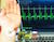 Mira la señal eléctrica del latido de corazón via EKG